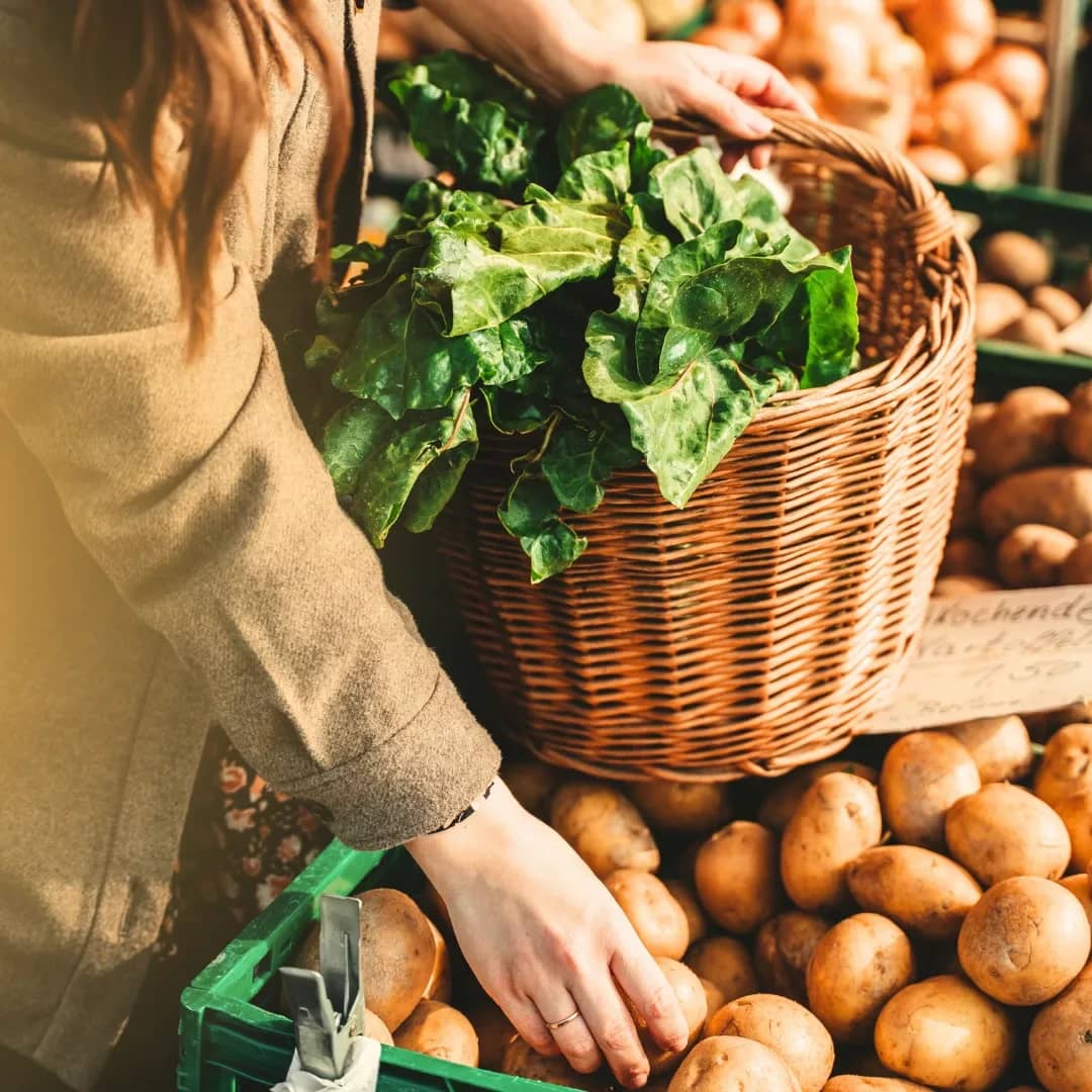 Lifestyle & Personal Assistance